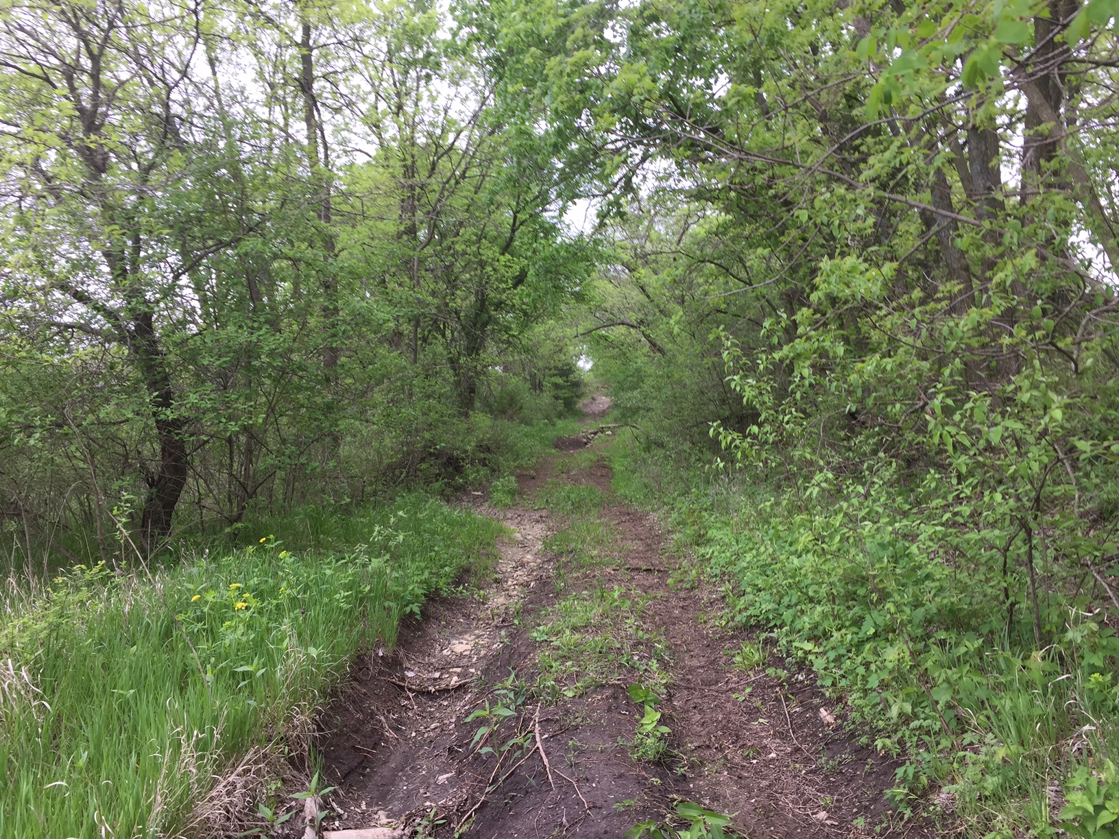 a1-f1-m105547-F8BF8F33-0A9B-4649-9587-A54511FA5EE0.jpeg image