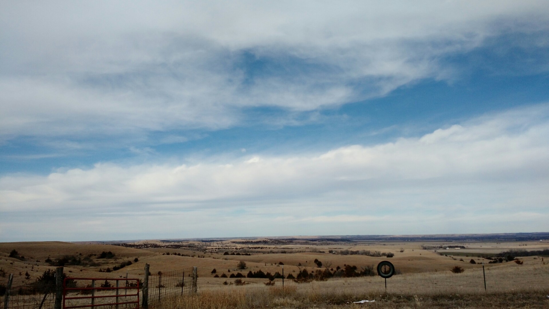 wp-1454372826684 image