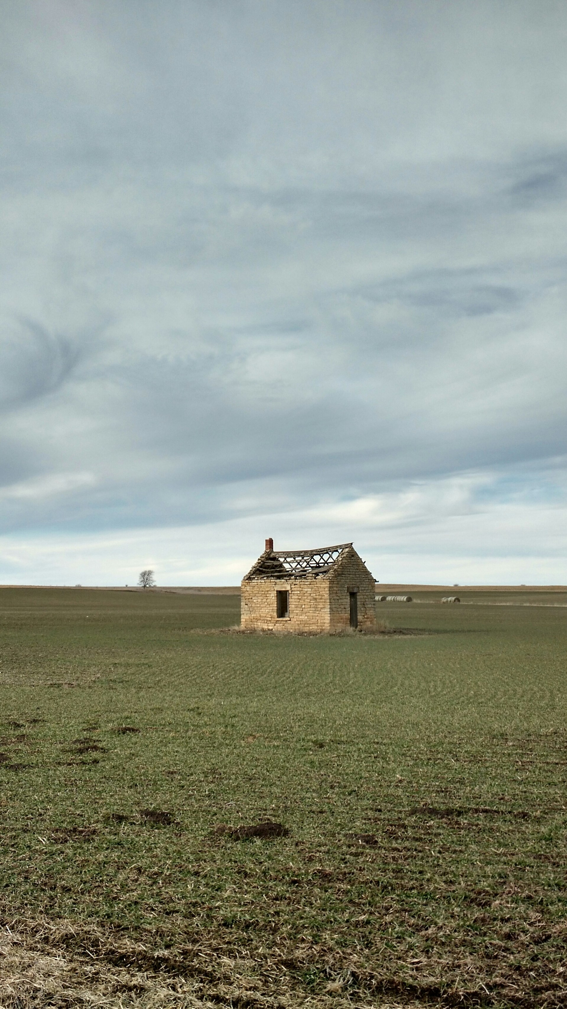 wp-1454372837770 image