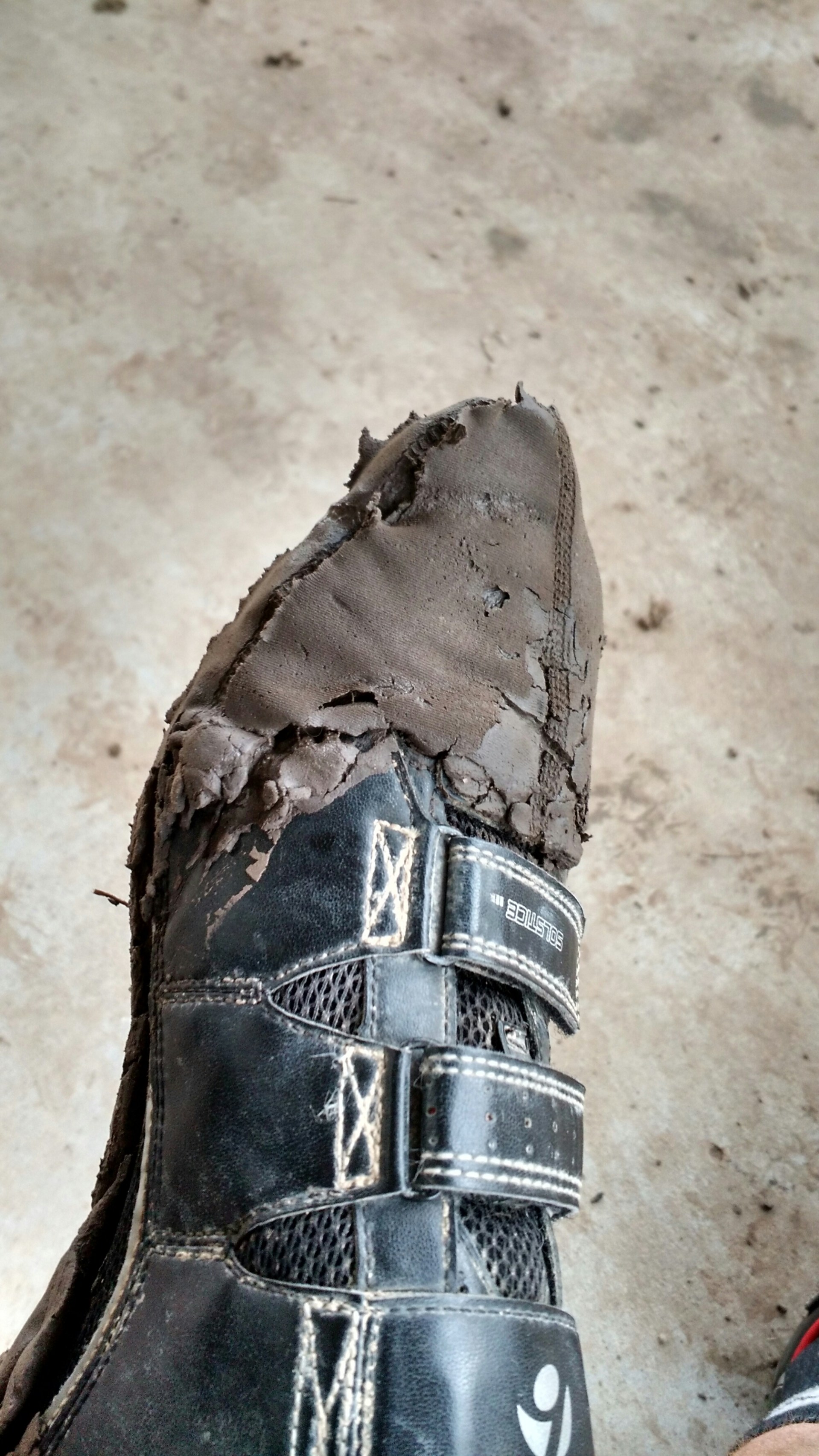 wp-1454383636517 image