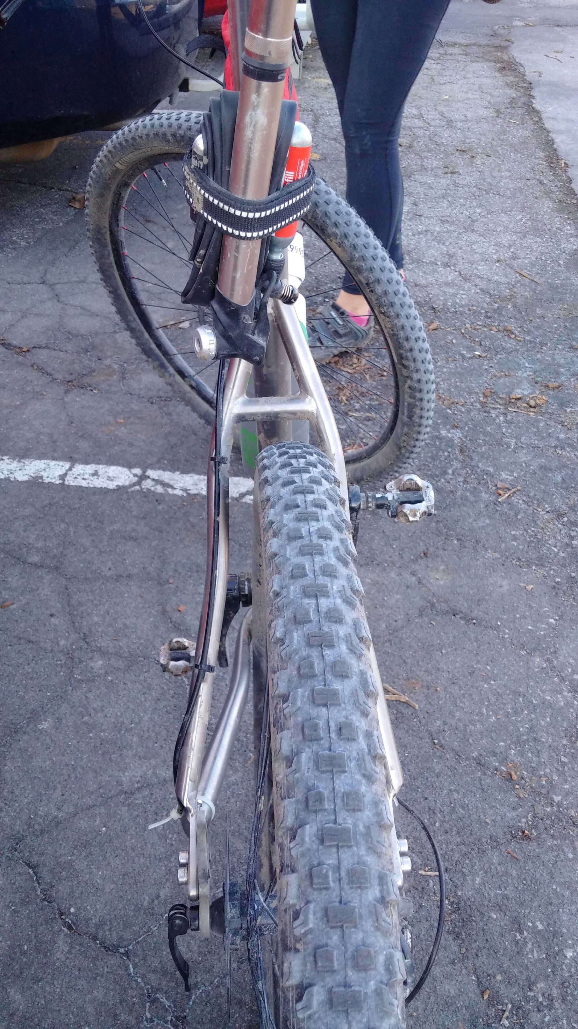 Bobs dropouts 20160305.jpg image