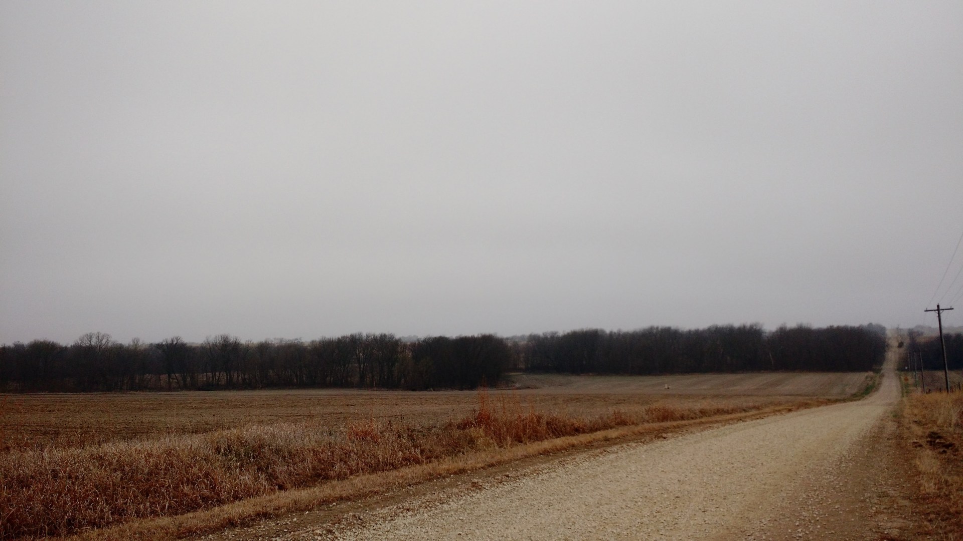 IMG_20160312_121726918