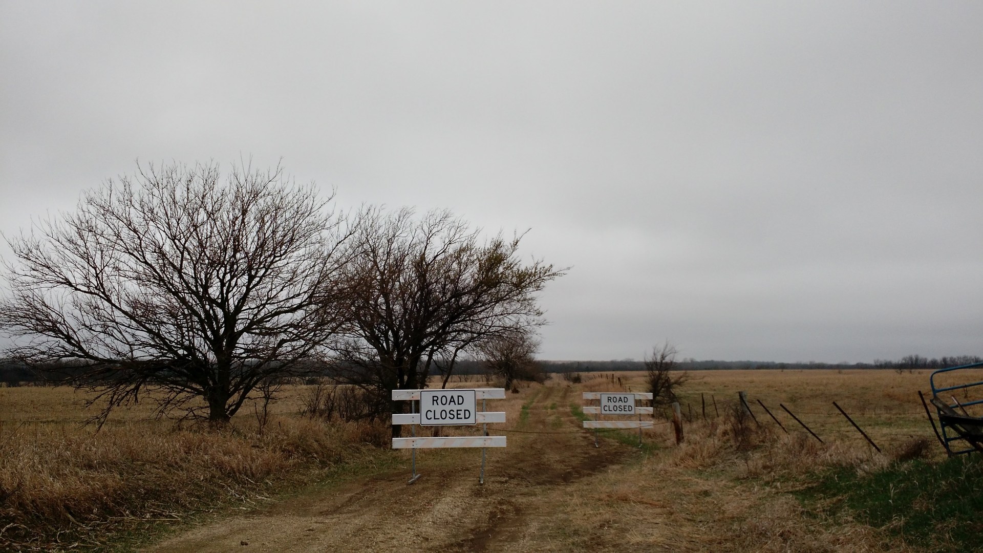 IMG_20160312_141618636