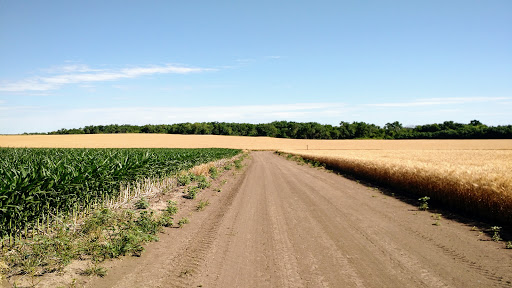 IMG_20170624_100417792