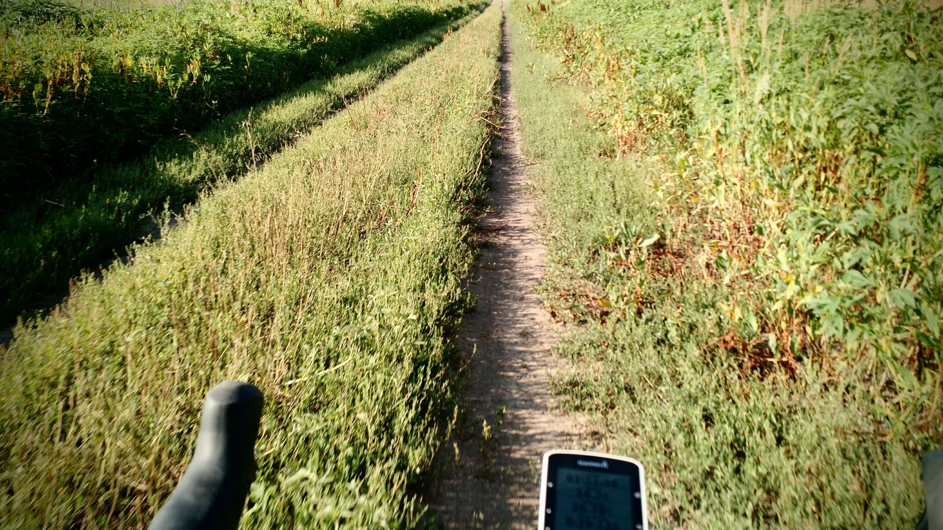 IMG_20170708_083913309